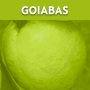 Goiabas