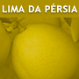 Limas